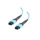 Dell Compatible MTP 10 GB 50/125 Multimode Fiber Aqua Assembly Ribbon Cable-32.8 ft, 31419