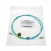 Custom OM3 10G 50/125 Multimode Simplex Armored Fiber Patch Cable