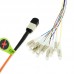 12 Fiber Multimode OM1 MPO Harness Fanout Breakout Cable