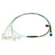 12 Fiber Multimode OM3 MPO Harness Fanout Breakout Cable