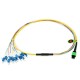 12 Fiber Singlemode MPO Harness Fanout Breakout Cable