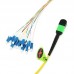 12 Fiber Singlemode MPO Harness Fanout Breakout Cable