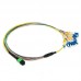 24 Fiber Singlemode MPO Harness Fanout Breakout Cable