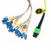 24 Fiber Singlemode MPO Harness Fanout Breakout Cable