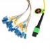 24 Fiber Singlemode MPO Harness Fanout Breakout Cable