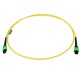 12 Fiber Singlemode MPO Patch Cable