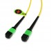 12 Fiber Singlemode MPO Patch Cable