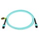 24 Fiber Multimode OM4 MPO Patch Cable