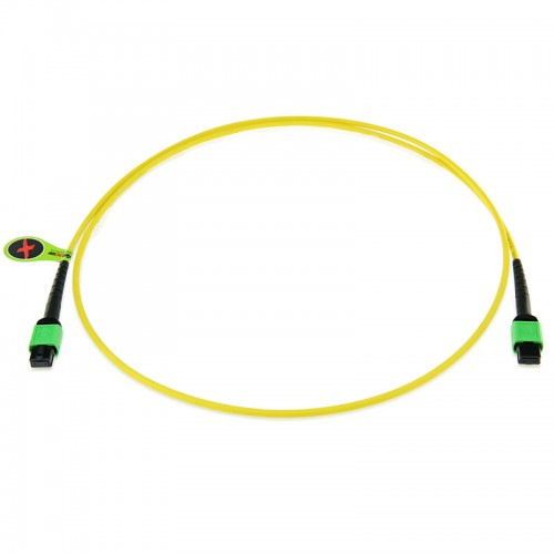 24 Fiber Singlemode MPO Patch Cable