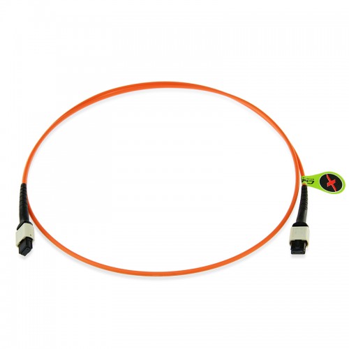 8 Fiber Multimode OM1 MPO Patch Cable
