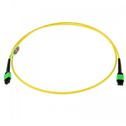 8 Fiber Singlemode MPO Patch Cable